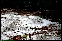Plonsen - nr. 0182